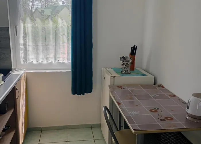 Letniskowe Aneta Lodge